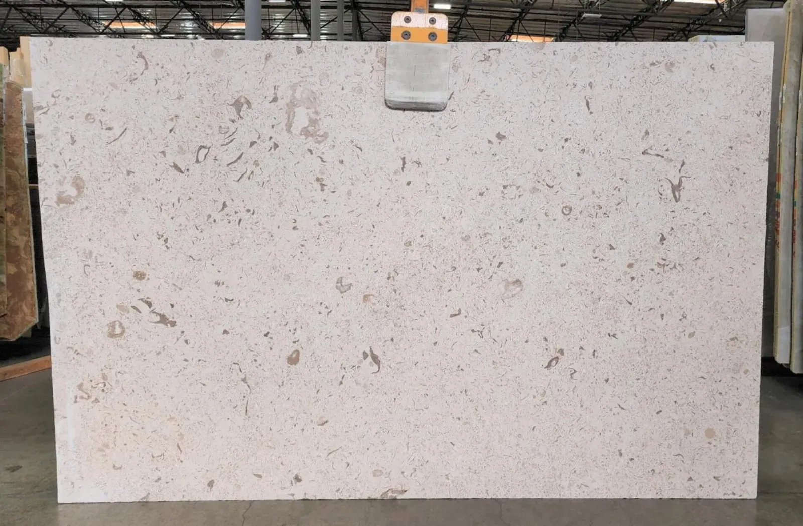 Fossil Limestone
