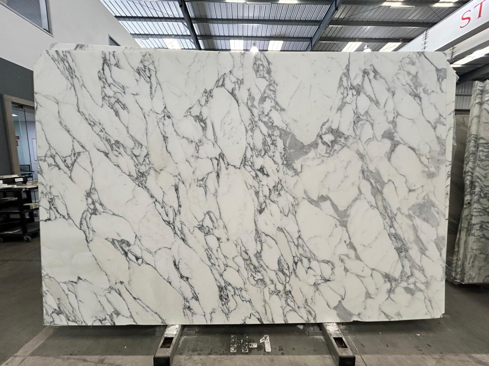 Arabescato Corchia Extra Wow Marble
